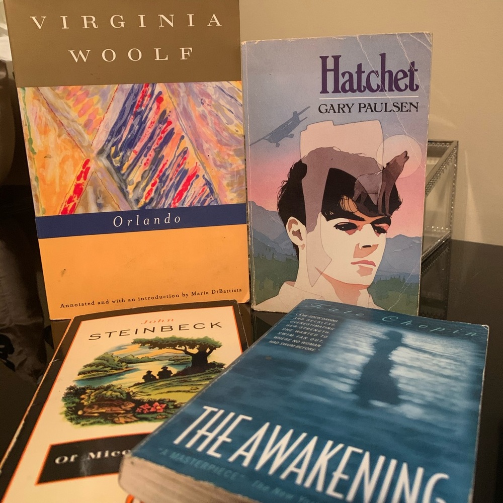 Classics book bundle
